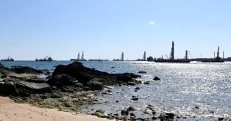辺野古新基地、大浦湾の砂ぐい9500本で6月は進展なし