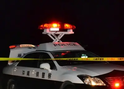 かばん通販装い100万円詐欺、中国籍44歳男を再逮捕 沖縄署