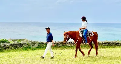 使役から伴侶動物へ　沖縄の馬の役割の変化を探る