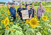 南城市役所向かいの畑でヒマワリ満開 農業青年クラブが種まき