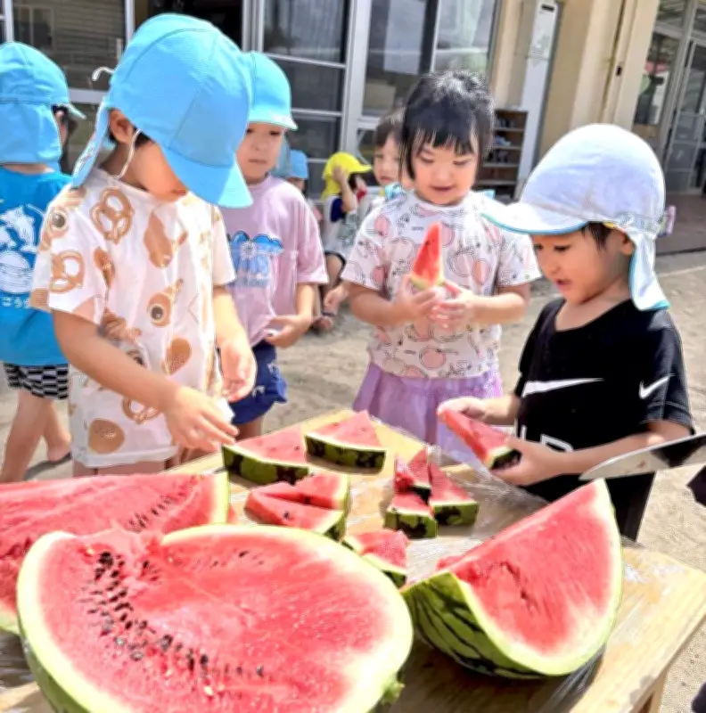 園児が育てたスイカに舌鼓 名護市の認定こども園で収穫