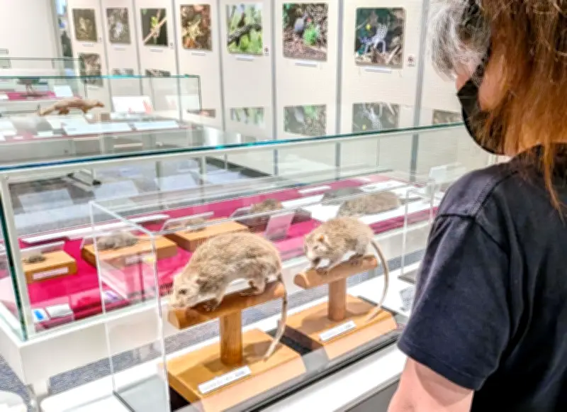 沖縄・やんばるの生き物たち展示会 県立図書館で24日まで