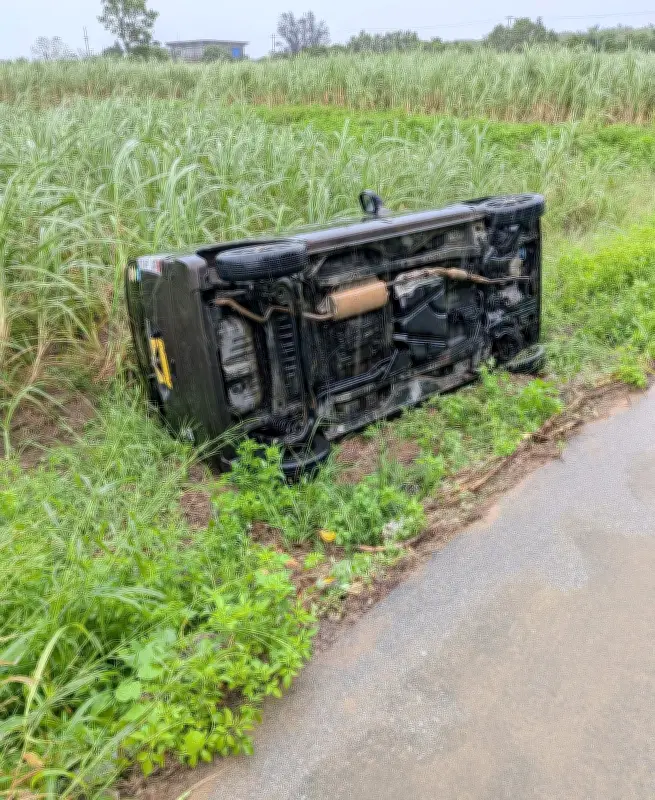 宮古島で豪雨、冠水避けようと車が畑に転落 5台が一時立ち往生
