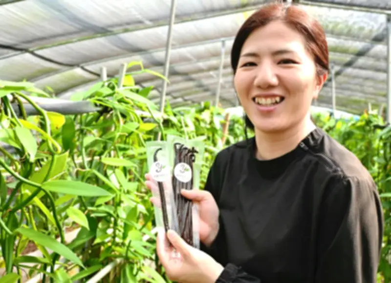県産バニラ生産拡大へ 技術広め年2トン目標 沖縄バニラ産業推進協会が意欲