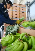 旧盆向け果物続々入荷、那覇青果で500トン輸入見込む