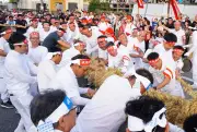 450年超の歴史誇る我謝大綱曳 本戦1本目はウフカーが2年連続勝利 西原