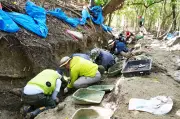 NPO空援隊、西原町で遺骨収集作業終える 推定30人分を発見