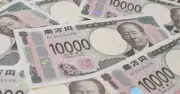 3000万円脱税疑い、名護の貨物運送業者を告発 沖縄国税事務所
