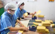 うるま市の昭和製紙、旧盆向けウチカビ生産がピーク　1日約3千束