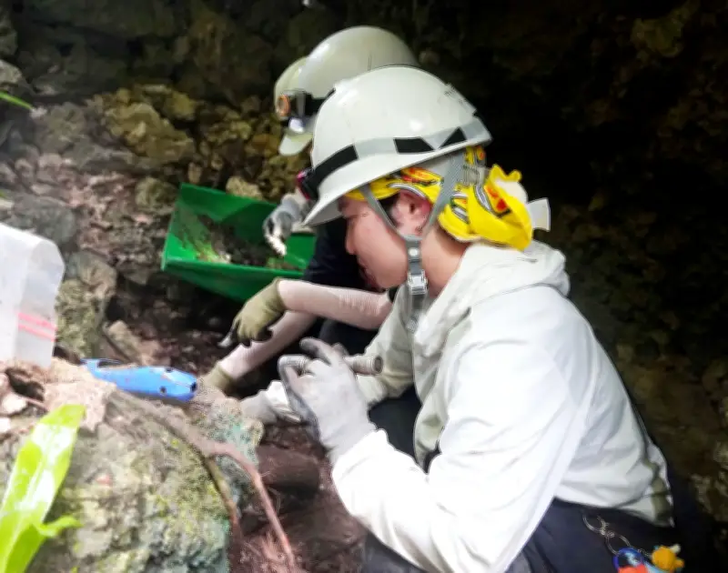 沖縄戦81年、大学生60人が糸満で遺骨収集　平和の尊さ学ぶ