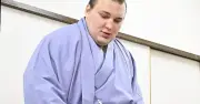 大相撲秋場所番付発表 安青錦が大関復帰、美ノ海は前頭3枚目 嘉陽は十両12枚目