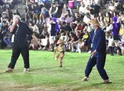 名護市青年エイサー祭りでちびっ子チョンダラーが大舞台で躍動