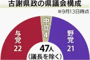 県議補選、自民系2氏が勝利 古謝県政の与党多数で安定へ