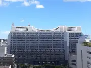 若者の8割超が沖縄知事選「行く予定」 最多理由は「主権者としての義務や責任」 10～20代を本紙調査