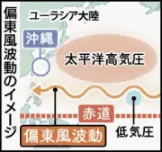 台風多発の一因「偏東風波動」か　気象庁分析、沖縄接近8個で年平均上回る